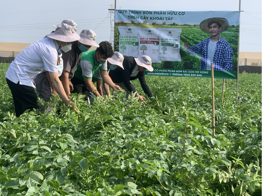 Mekofer tổ chức hội thảo chuyên đề “Vai trò của phân bón hữu cơ đối với canh tác nông nghiệp tại vùng đất đỏ Lâm Đồng”